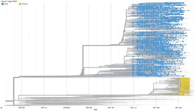 Risk of hospitalization and vaccine effectiveness among COVID-19 patients in the UAE during the Delta and Omicron outbreaks